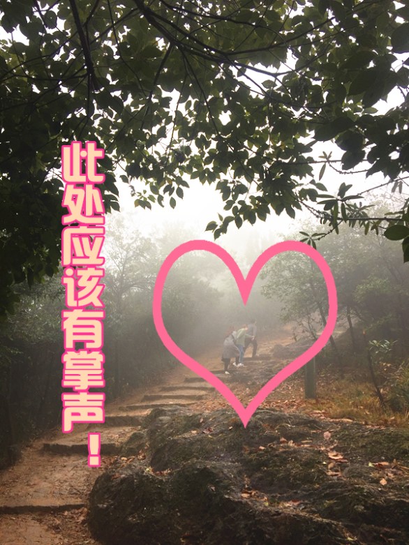 1515046321377805.jpg 遠(yuǎn)處團(tuán)結(jié)互助三人組_副本.jpg