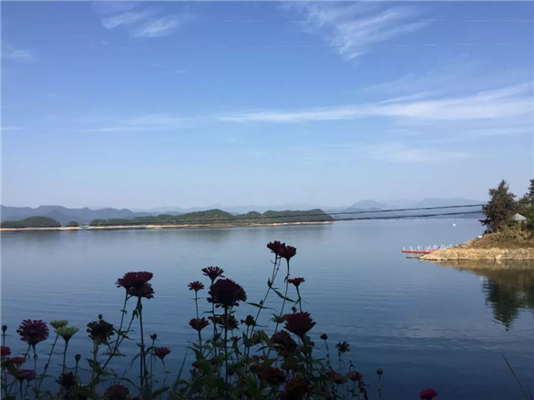 1542699180371932.jpg 7.jpg